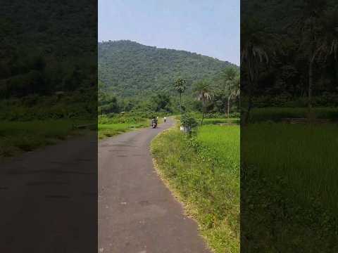 Tu Chalu Thilu To Batare💞❤️#shorts #youtubeshorts #travel #travelshorts #pranati #odia