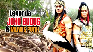 Download lagu The legend of Joko Budug and Mliwis Putih mp3
