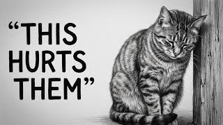 These 9 Everyday Things HURT Your Cat's Feelings
