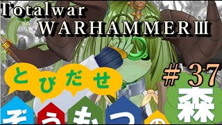Total War:WARHAMMERⅢ】とびだせ ぞうもつの森！＃３７『ティーンチの居城の庭』　#totalwarwarhammer3 #warhammer