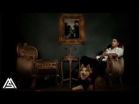 اغنيه محمد سعيد محتاج لوجودك