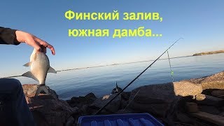 Рыбалка на финском заливе южная дамба