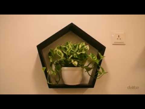 Spa interior for Wegga Luxe