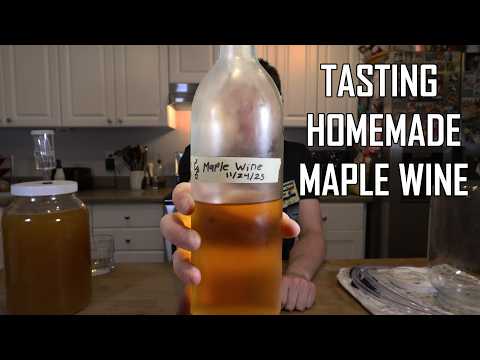 Tasting My Homemade Maple Wine (It's Good!)