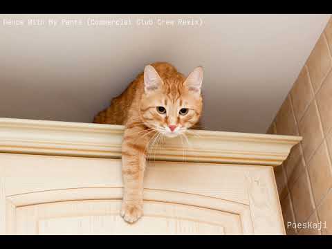 Dance With My Pants - Crazy RockerZ (Commercial Club Crew Remix) (Speeded by Poeskaji)