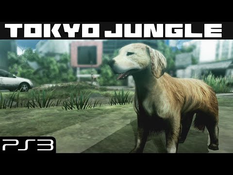 Tokyo Jungle - PS3 Gameplay (2012)