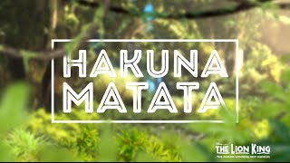 Hakuna Matata - Disney's THE LION KING (Official Lyric Video)