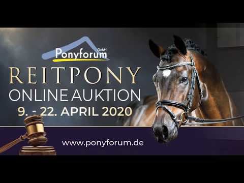 DIAMOND BLAZE 4j. Falbstute v. Diamond Touch - Mozart