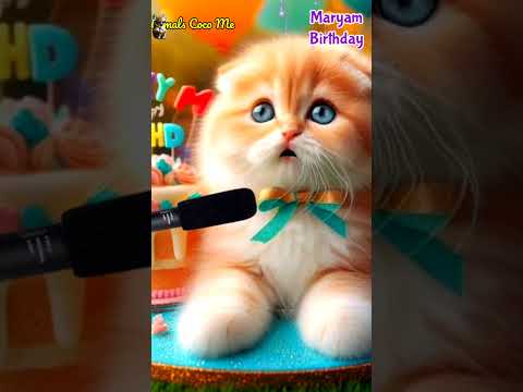 MARYAM HAPPY BIRTHDAY | HAPPY BIRTHDAY SONG WITH NAMES | Adorable Cute Cat 😺 #cat #happybirthday