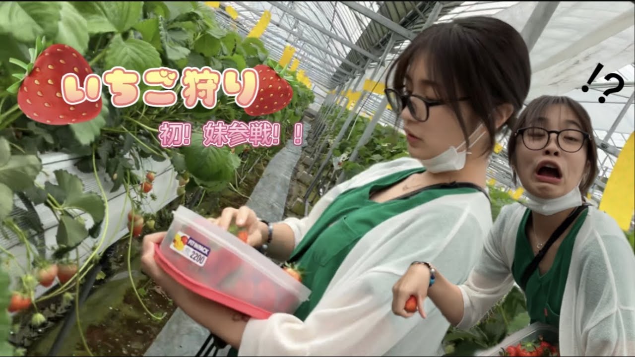 【イチゴ狩り】妹といちごパフェ対決!?