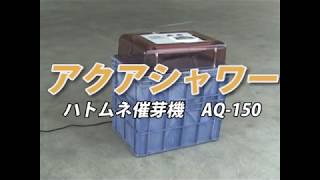 Download lagu タイガーカワシマ　ハトムネ催芽機「アクアシャワー　AQ-150」 mp3