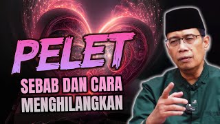 Download lagu PELET, SEBAB DAN CARA MENGHILANGKANNYA mp3 Download lagu PELET, SEBAB DAN CARA MENGHILANGKANNYA mp3