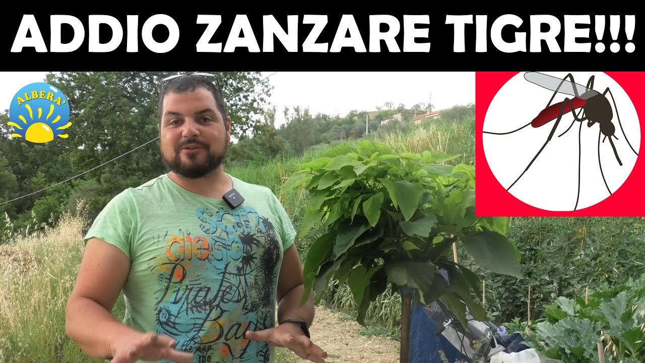 RIMEDI NATURALI CONTRO ZANZARE🦟🦟🦟 E ZANZARE TIGRE🦟🦟🦟, (COSA MI SONO FATTO SPEDIRE DI COSI EFFICACE)