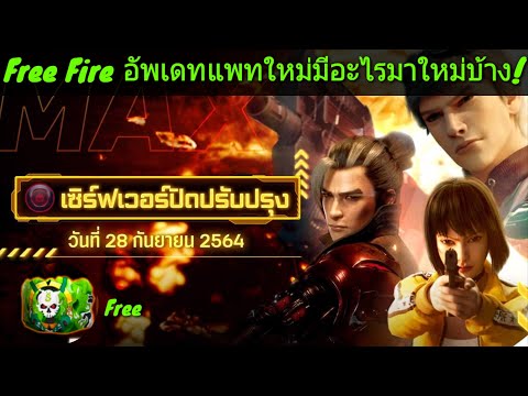 ฟีฟาย