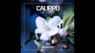 Calippo - Mr  Love You (Original Mix)