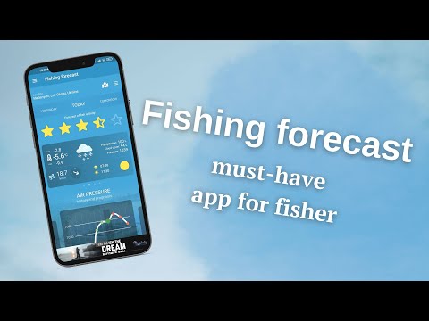 Fishing forecast video