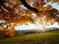 Whelan & Dj Scala Feat. Nikki Belle-Sunset to ...