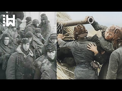 Massaker an 153 nackten Nazis, die von Sowjets in Stücke gerissen wurden – Das Massaker von Broniki