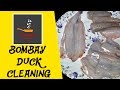 BOMBAY DUCK CLEANING