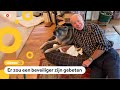 Honden van Biden moeten weg uit Witte Huis