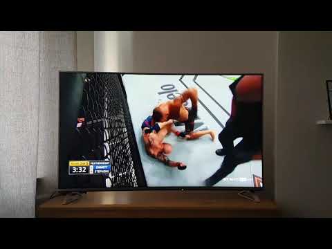 Stephens Ko's Emmett