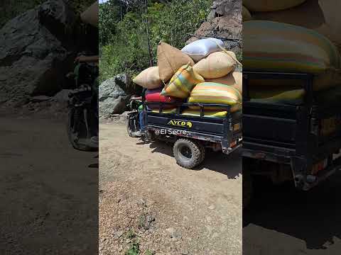 ¿Le salió competencia al Angelito de Caicedo con esta carga de 1.300 kilos? 😮🚙 #caicedo