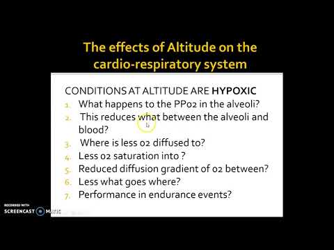 A level PE - Exercise physiology - Altitude