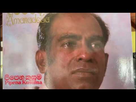 W.D. Amaradeva: Rae Duru Rata Mey