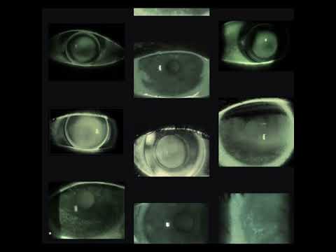 4. Interno (W1tchL4nd x Nonsixe)