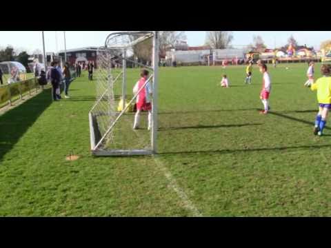 IJsselmeervogels E4 - Hooglanderveen E5