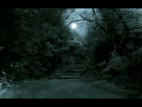 sacred forest - themis papaefthimiou