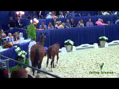 Veulenveiling Dronten 2014 - 3/3