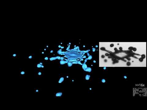 Simulating the collision of two droplets in FluidX3D