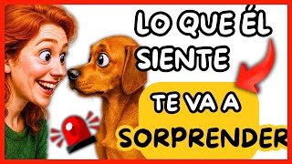 ⚠️ ¡ÉL NO TE RECONOCE COMO HUMANO — y el MOTIVO es INCREÍBLE!