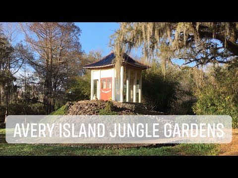 Avery Island Jungle Gardens