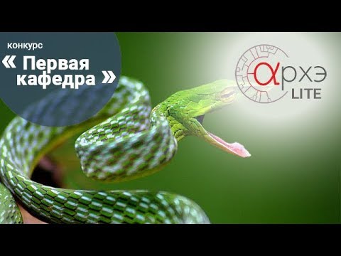 Дарья Змеева: "Змеи. Основные заблуждения"