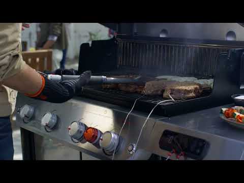 The New 2022 Weber Genesis Gas Grill