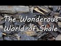 The Wonderous World of Shale