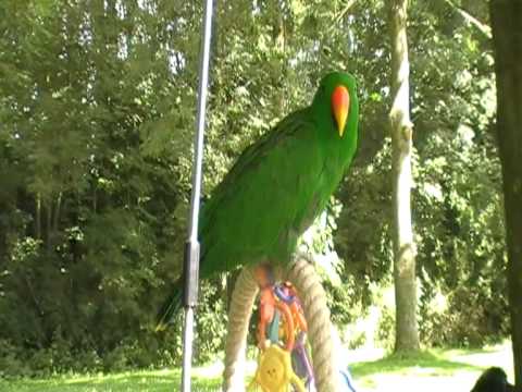 18 juli abbenbroek.MOD