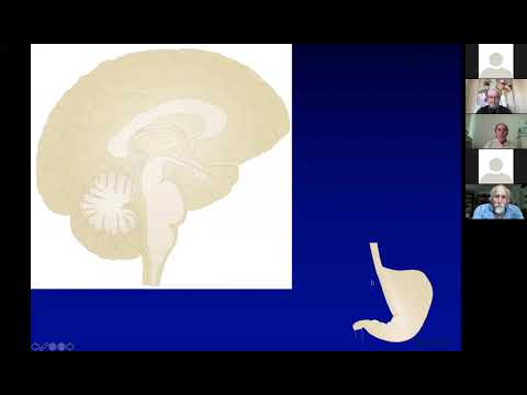 The BRI Joint Seminar In Neuroscience - Tamas Horvath, DVM, Ph.D.