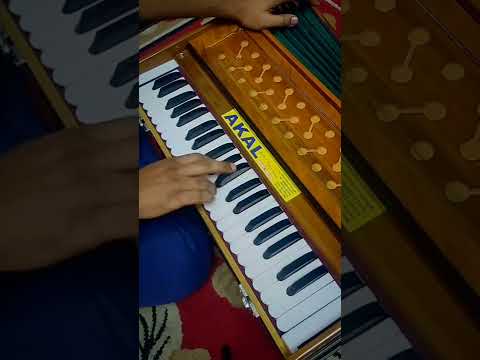 Tumse Milke Dil ka | Main Hoon Na | Harmonium | Piece 🔥🔥🔥 #mainhoonna #shahrukhkhan #sonunigam