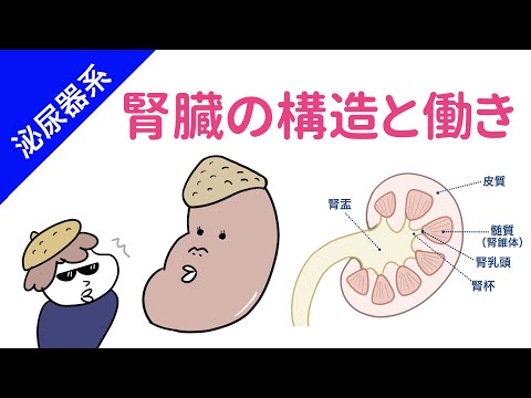 ウロボリ科について詳しく解説