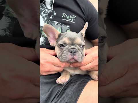 Video 4