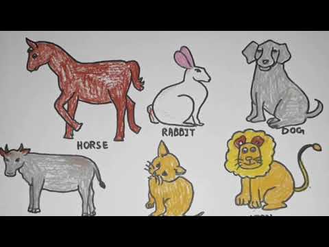 Coloring for Kids with Animals of India - Colouring Book for Children || School Project For Kids