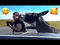 Hilarious Vacation Fails I Need A Break From My Vacation