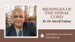 Dr .Sherif Fahmy - Meninges of the Spinal cord