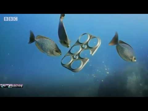 David Attenborough loves plastic - News Thing