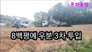 밭 꾸미는 중이에요~요즘은 비오면 땅이 잘 마르지 않아요