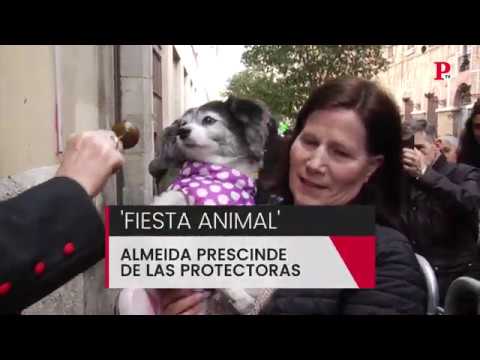 'Fiesta Animal': Almeida prescinde de las protectoras