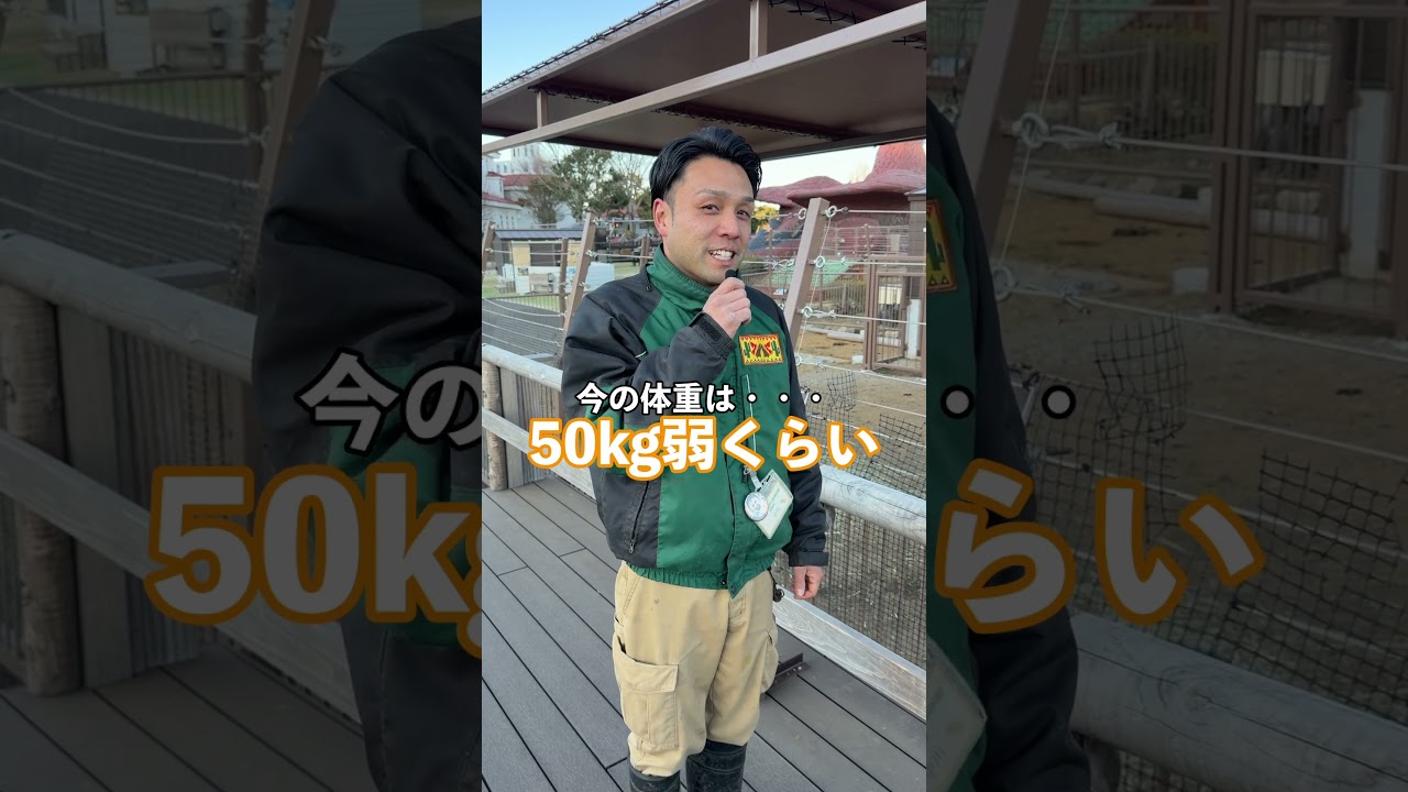 エランドの赤ちゃんが誕生👶